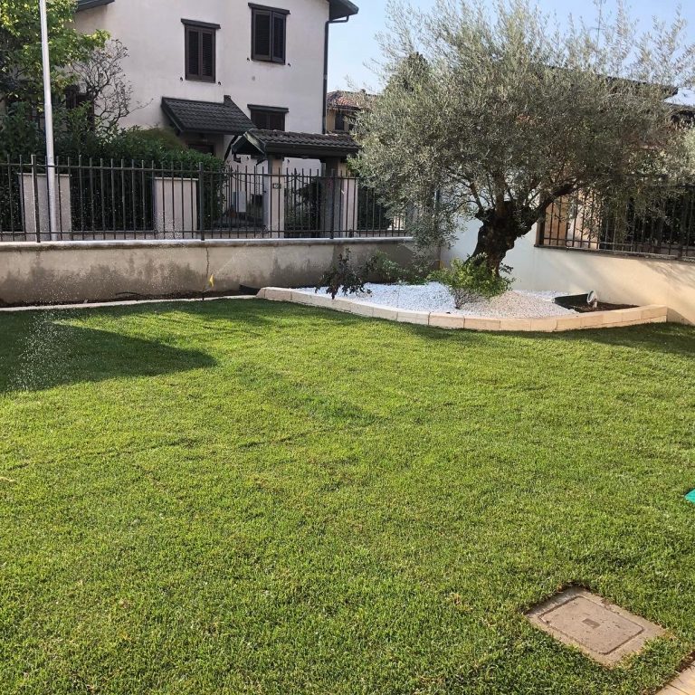 Posa zolle in giardino