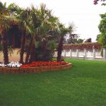 giardino con palme