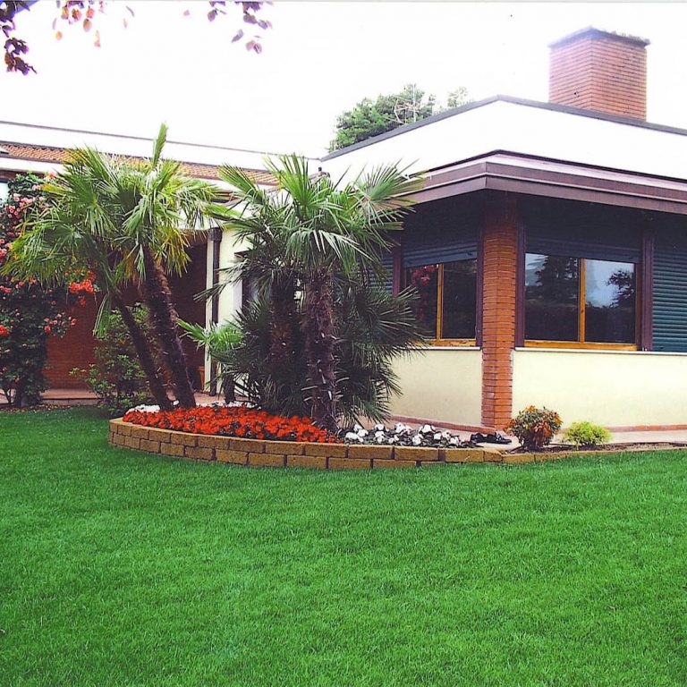 giardino con palme