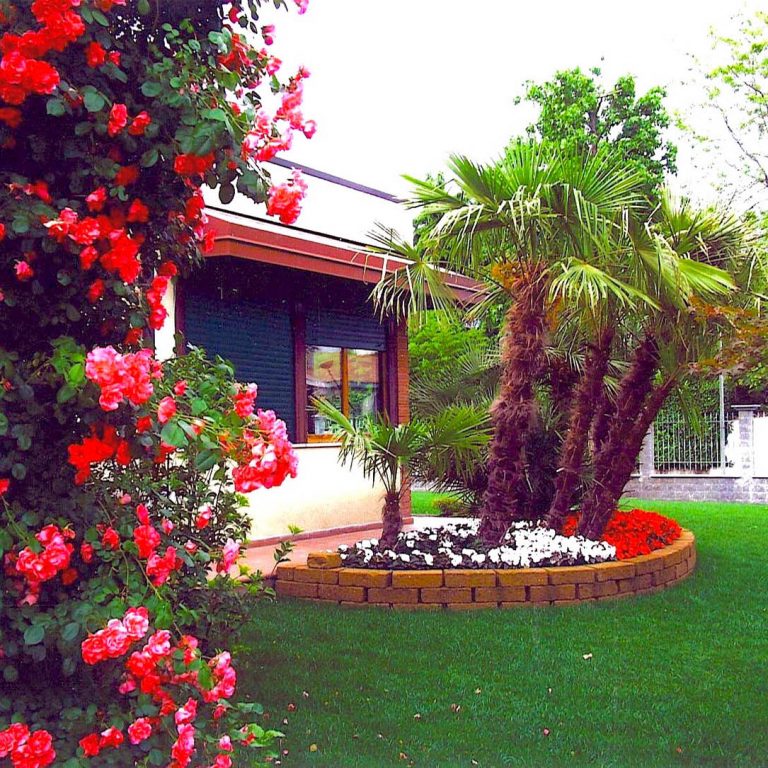 giardino con palme