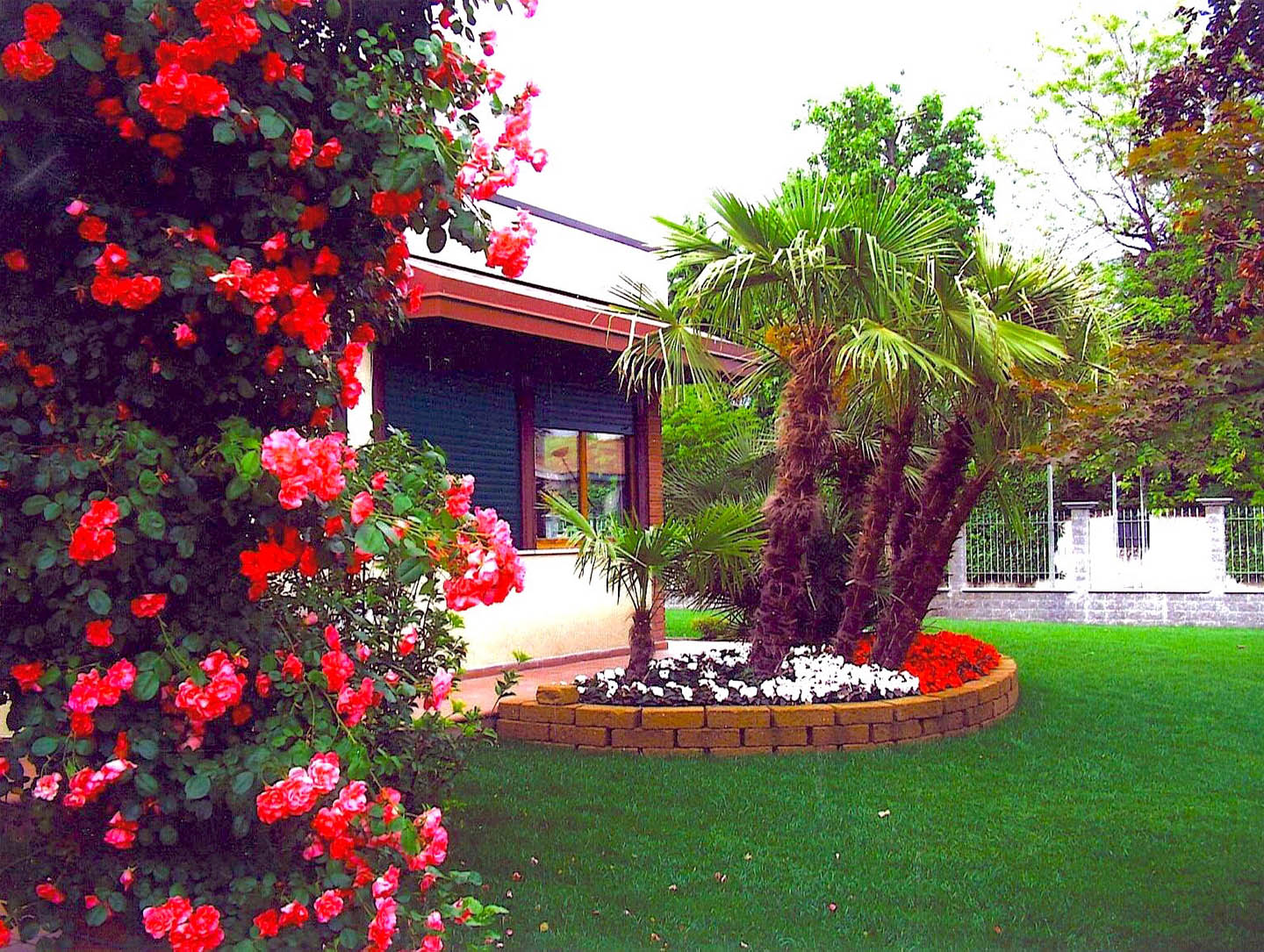 giardino con palme