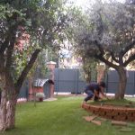 ristrutturazione giardino