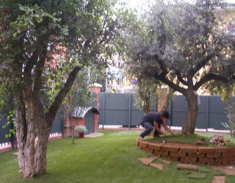 ristrutturazione giardino